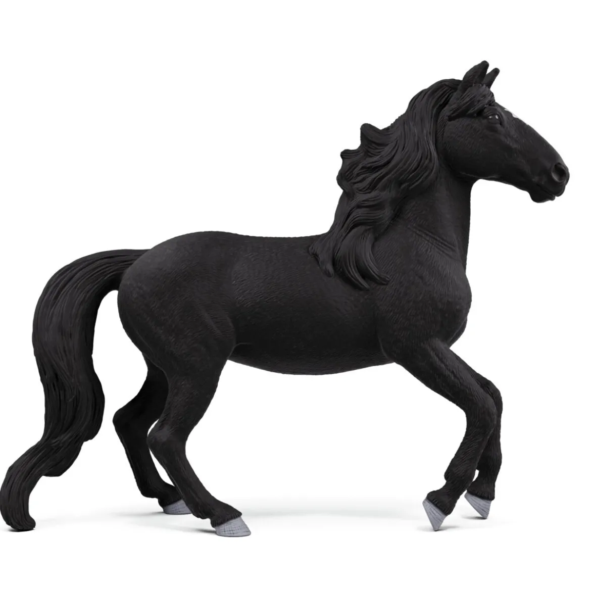 Lusitano Hengst