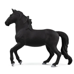 Lusitano Hengst