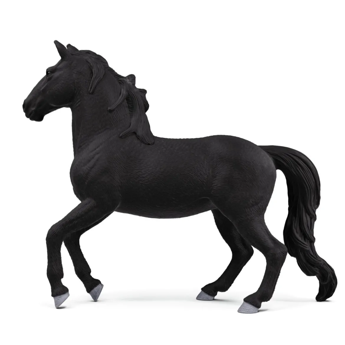 Lusitano Hengst