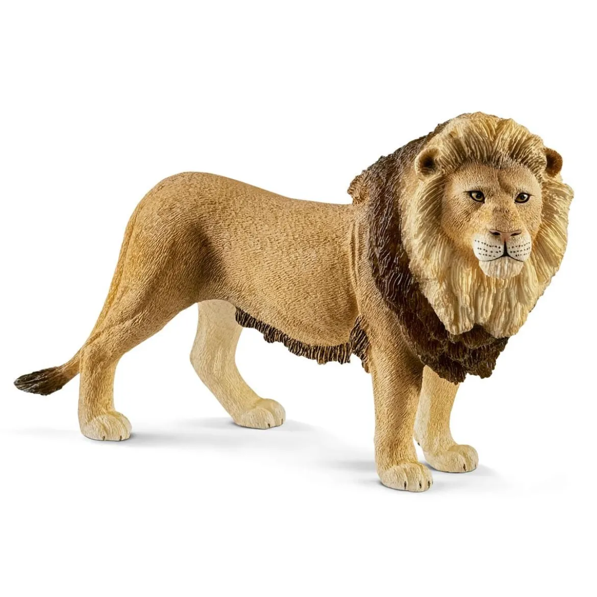 Löwe (bundle)