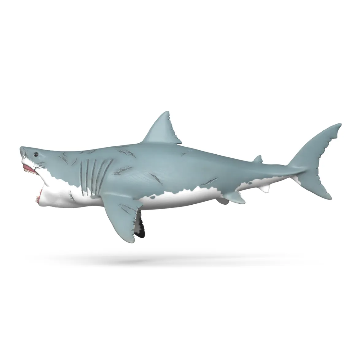 Megalodon