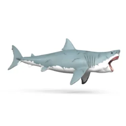 Megalodon