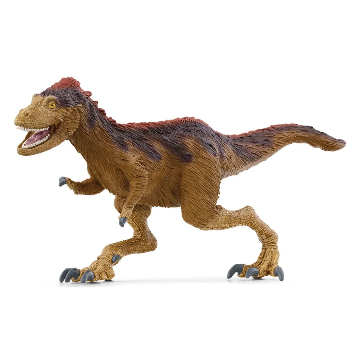 Moros Intrepidus