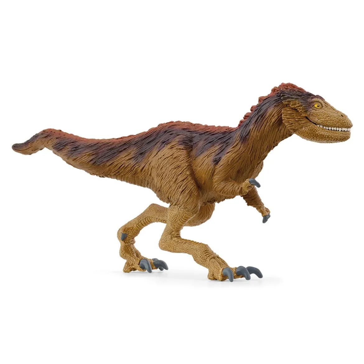 Moros Intrepidus