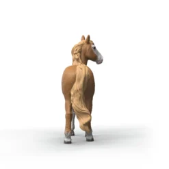 Mustang Stute