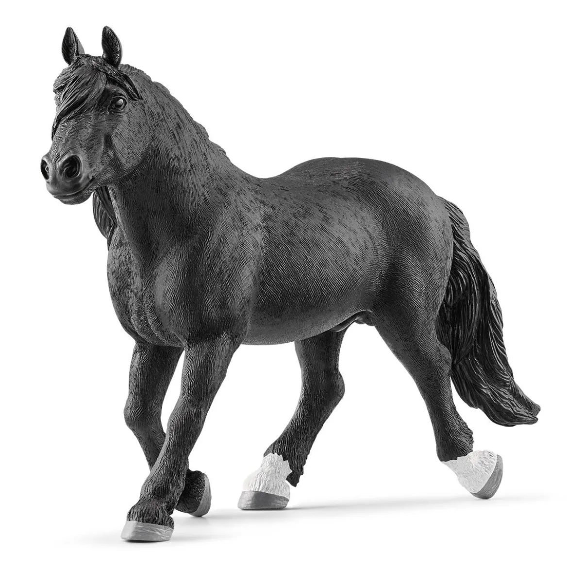 Noriker Hengst