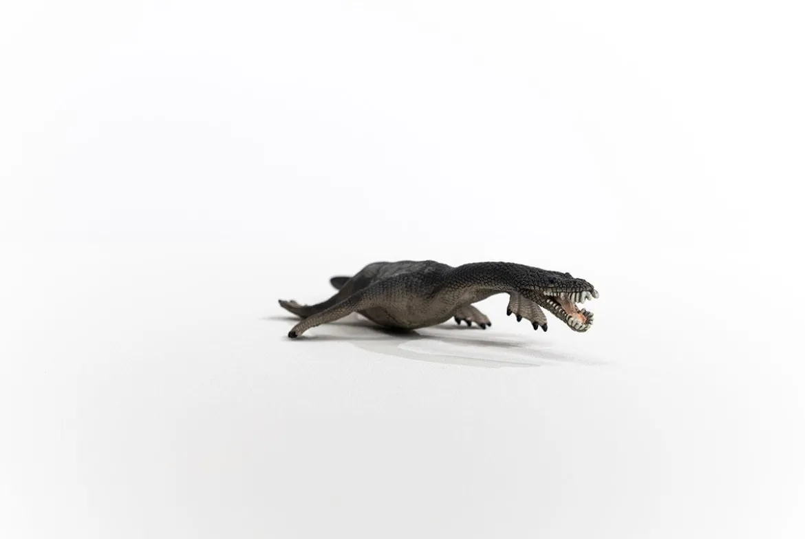 Nothosaurus