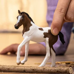 Paint Horse Fohlen