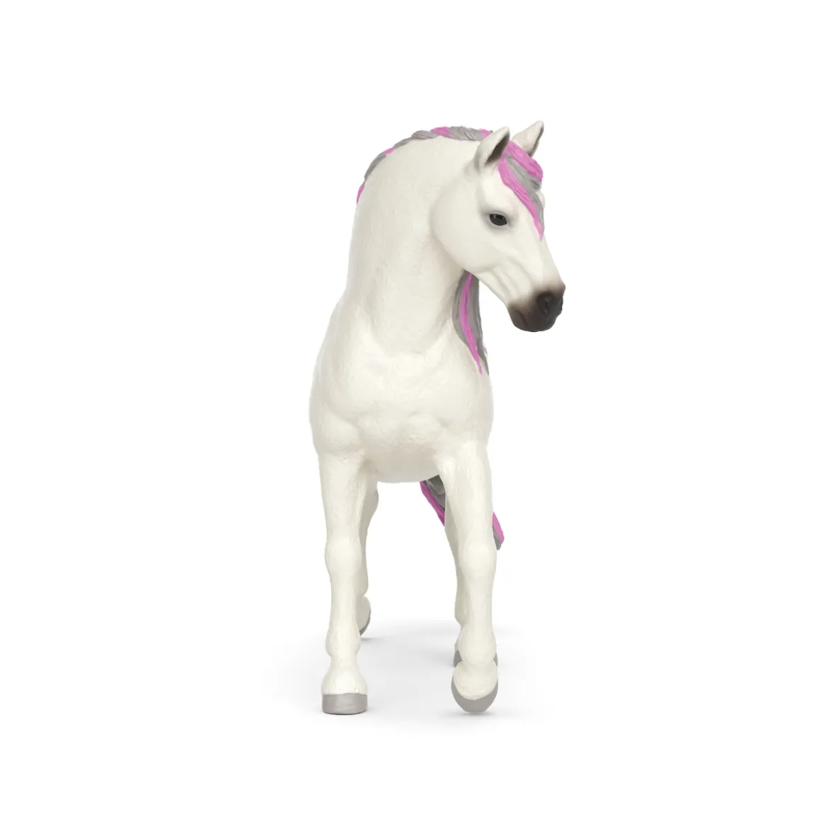 Paso Fino Hengst - LOVE Edition