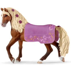 Paso Fino Hengst Pferdeshow