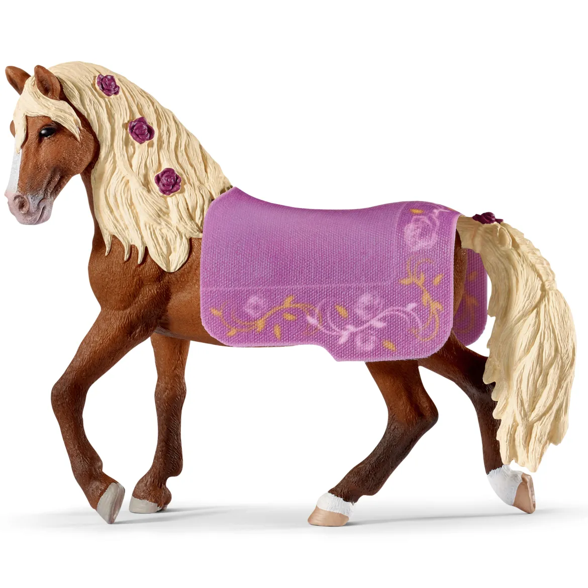 Paso Fino Hengst Pferdeshow