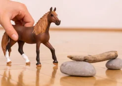 Paso Peruano Stute