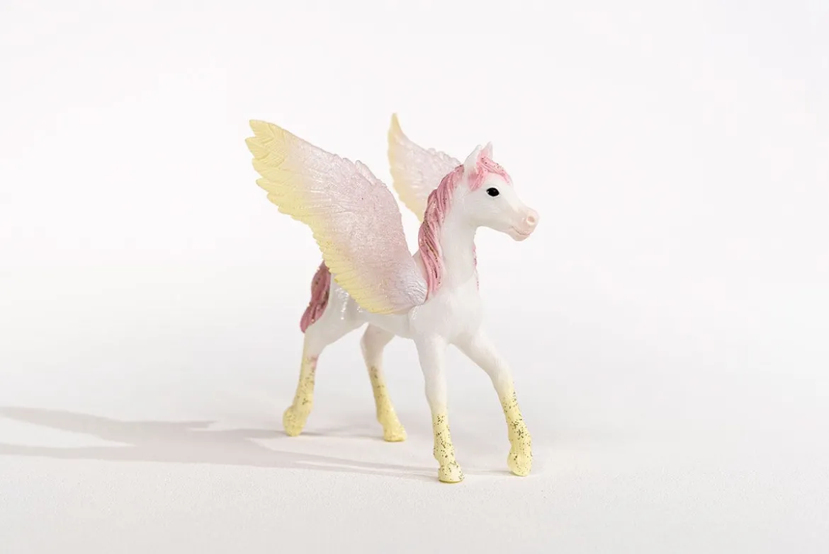 Pegasus Fohlen (bundle)
