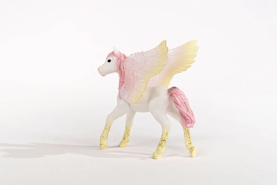 Pegasus Fohlen (bundle)