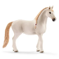 Pferdebox mit Lusitano Stute