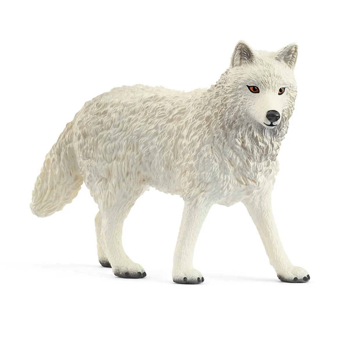Polarwolf