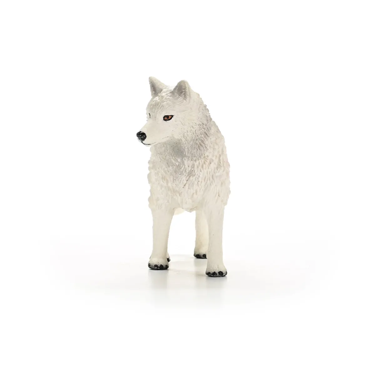 Polarwolf