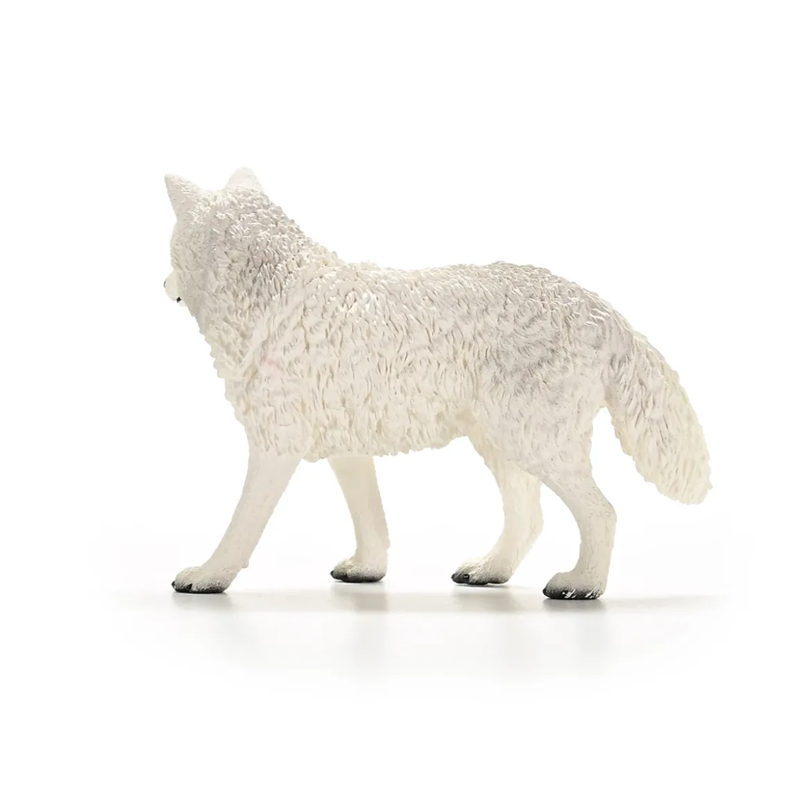 Polarwolf