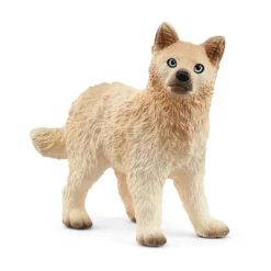 Polarwolf Welpe