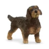 Rauhaardackel
