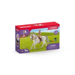 Reiterin mit Lipizzaner Stute