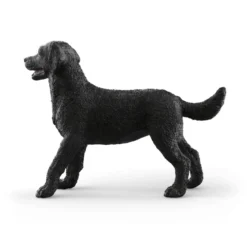 Schwarze Labrador Retriever Hündin