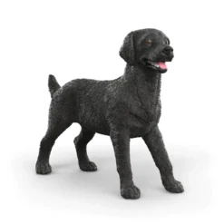 Schwarze Labrador Retriever Hündin