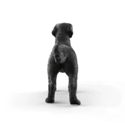 Schwarze Labrador Retriever Hündin