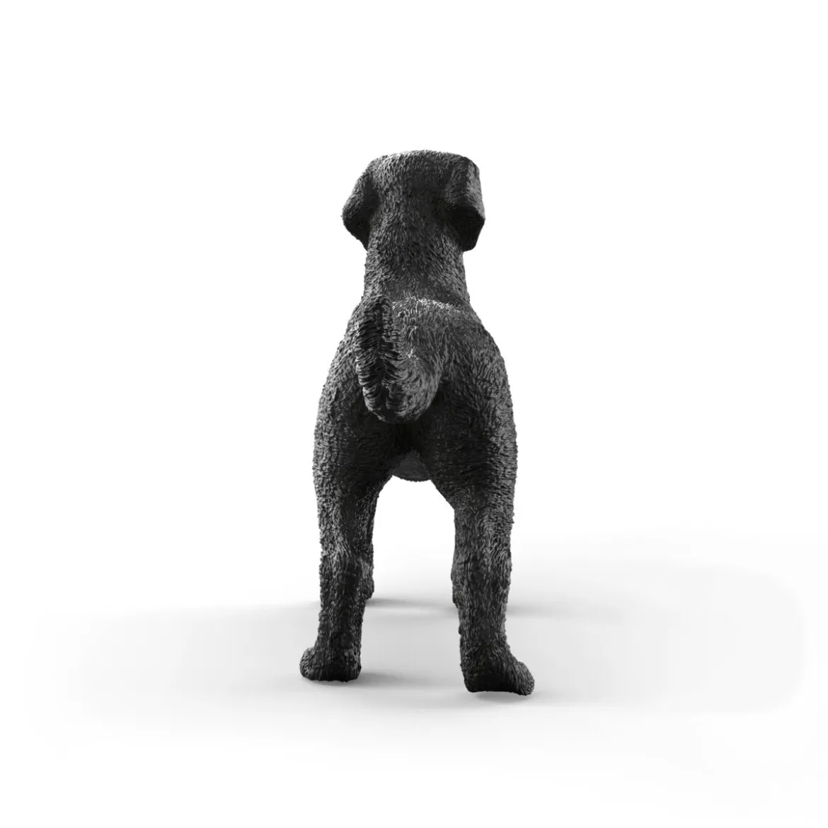 Schwarze Labrador Retriever Hündin