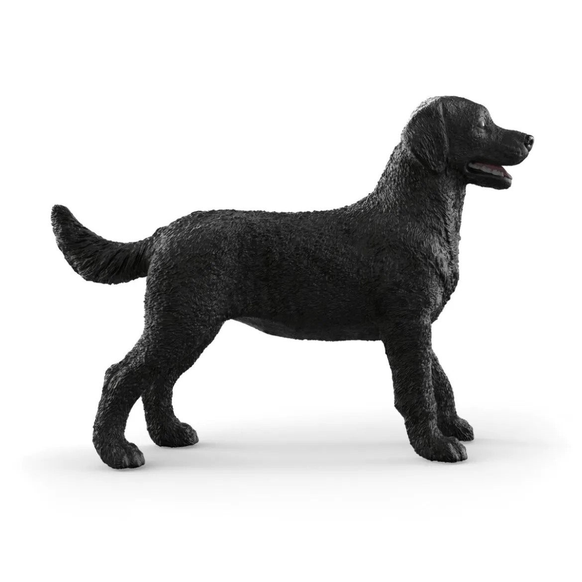 Schwarze Labrador Retriever Hündin