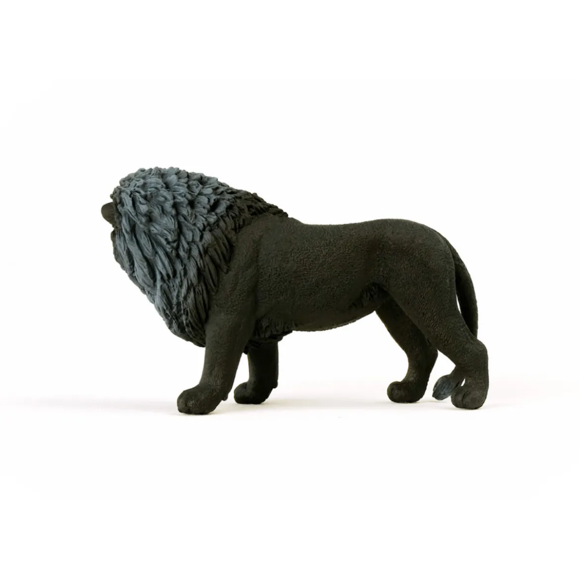 Schwarzer Löwe