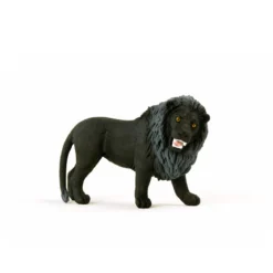 Schwarzer Löwe