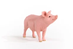 Schwein