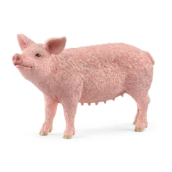 Schwein (Bundle)