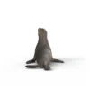 Seelöwe