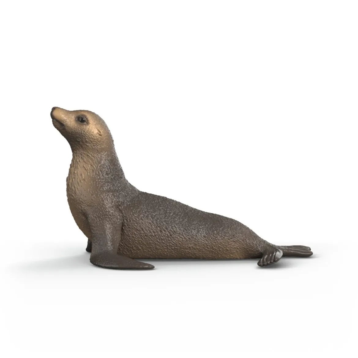 Seelöwe