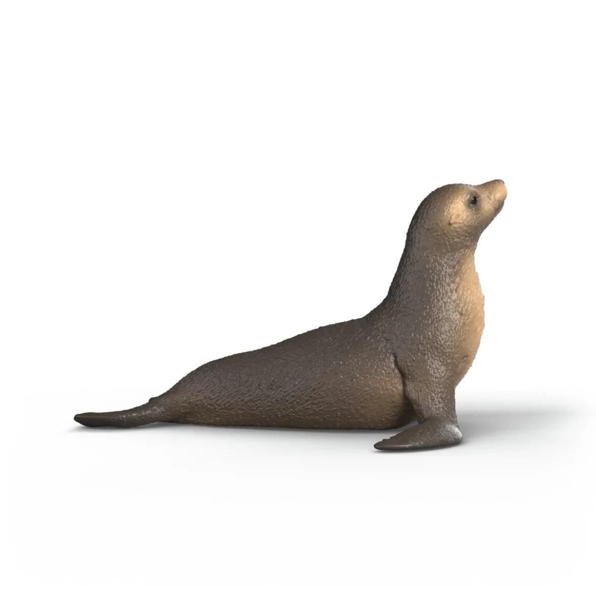 Seelöwe