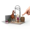 Sofia's Pferdewaschplatz