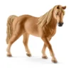 Tennessee Walker Stute