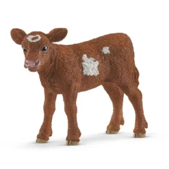 Texas Longhorn Kalb (Bundle)