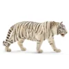 Tiger, weiß