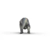 Triceratops