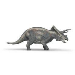 Triceratops