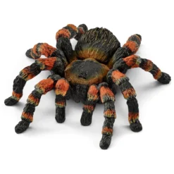 Vogelspinne