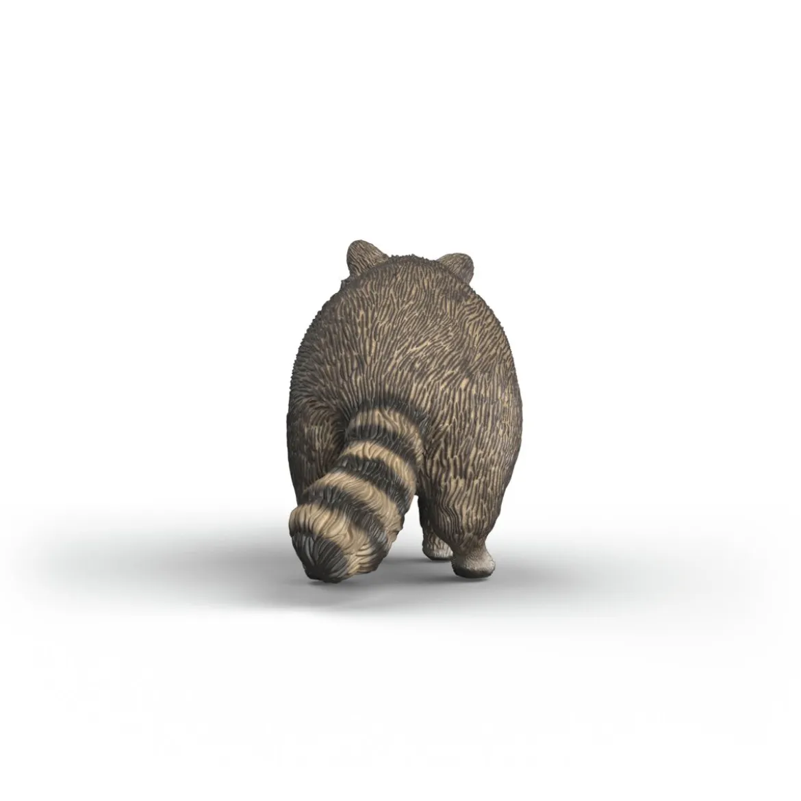 Waschbär