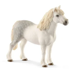 Welsh-Pony Hengst