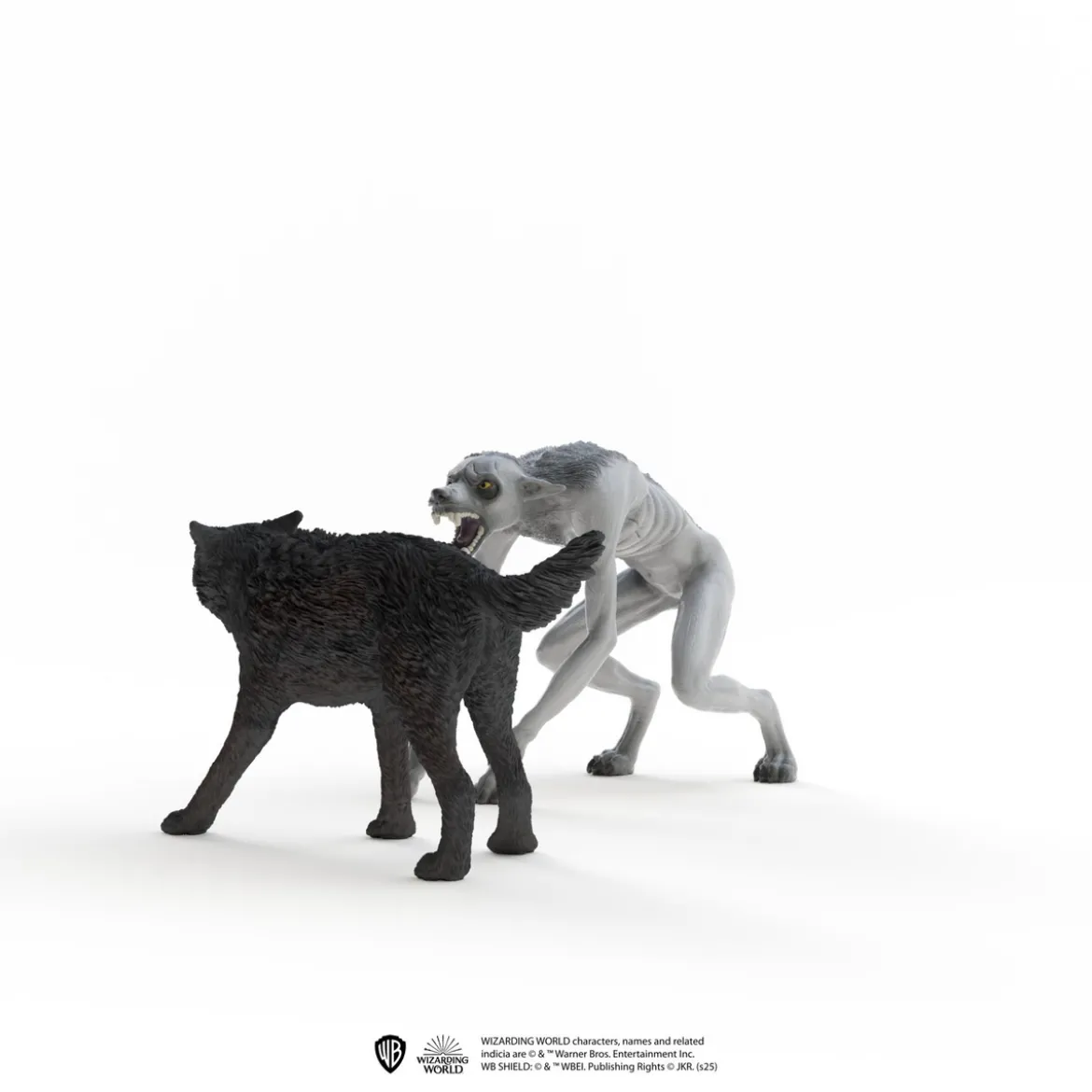 Werwolf vs. Animagus