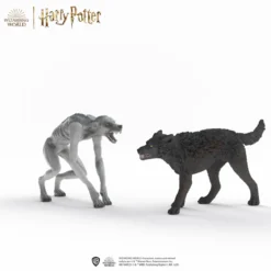 Werwolf vs. Animagus