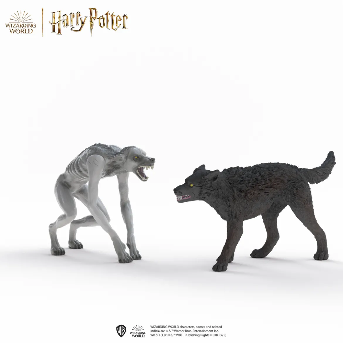 Werwolf vs. Animagus