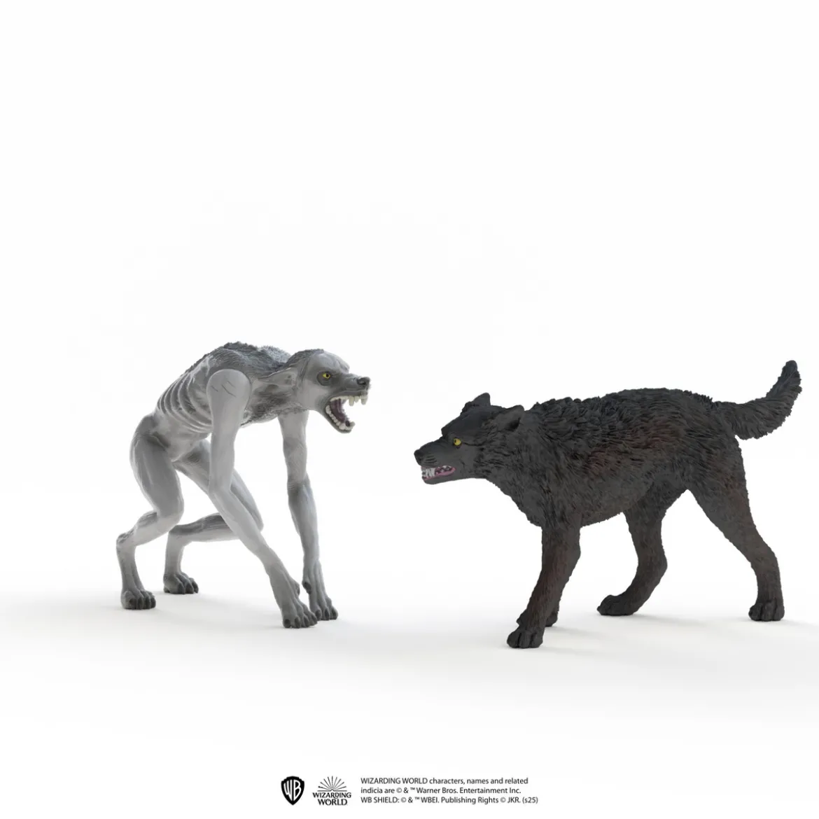 Werwolf vs. Animagus